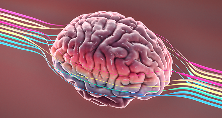 Pós-Graduação em Neuropsicologia